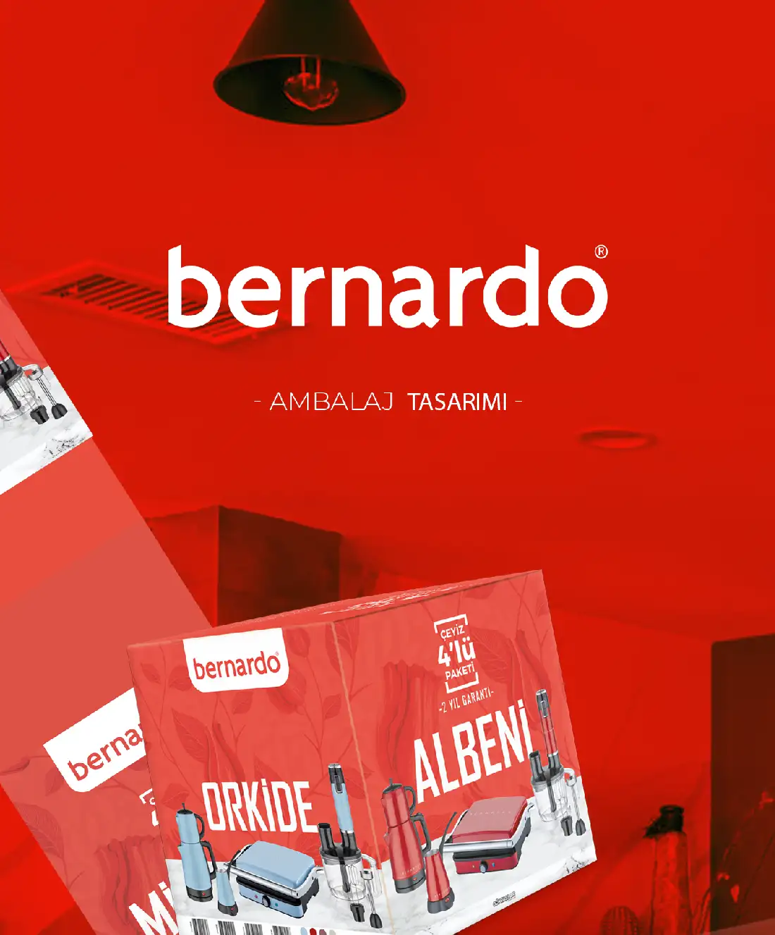 Bernardo 4
